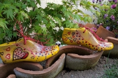"Zapatos en mi jardín"