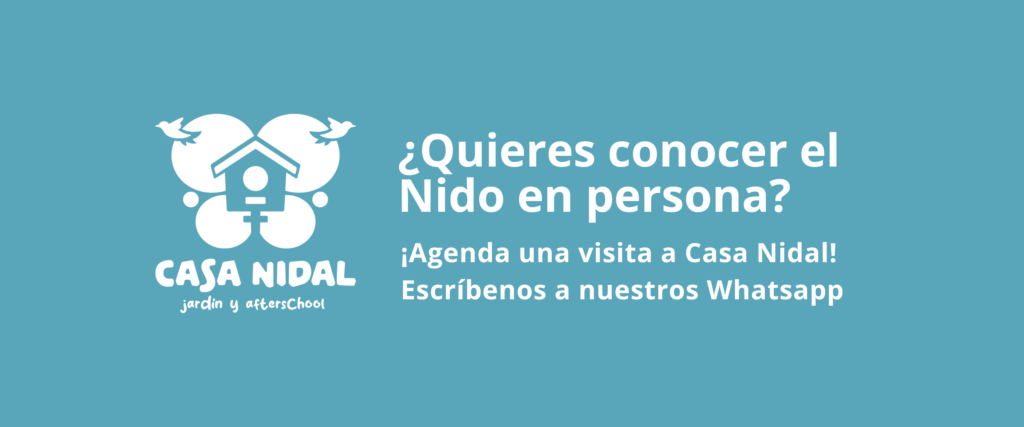 ¿Quieres conocer el Nido en persona? Escríbenos