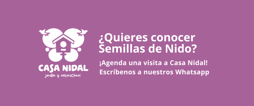 ¿Quieres conocer el programa Semillas de Nido de Casa Nidal? Escríbenos